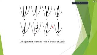 les lesions inflammatoires periapicales dorigine endodontique [upl. by Nevur]