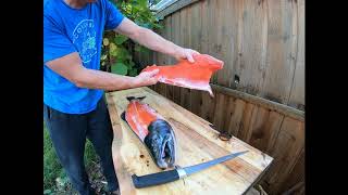 How to fillet a Coho Salmon [upl. by Sualkcin952]