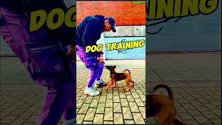 The Elite K9s How Military Dogs Are Trained for Success dogtraining dog belgiummalinois pets [upl. by Dailey]