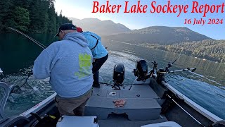 Baker Lake Sockeye Report  16 July 2024 [upl. by Nillek]