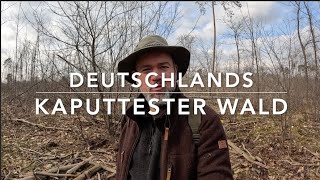 Das Waldsterben beginnt in Hessen [upl. by Bolen]