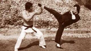 Bruce Lee And Bolo Yeung Tribute [upl. by Merideth]