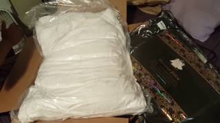 Duck amp Goose Microfiber Pillow  Unboxing and Review [upl. by Ansley]