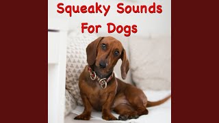 Sounds Dogs Love [upl. by Waylin]