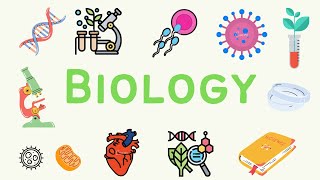 6 A level Biology  Immunity Part 1 🦠 [upl. by Endo810]