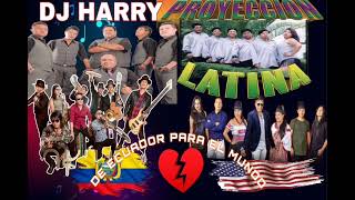 CHICHA MIX VOL2 ROCK STARJOKIWASPROYECCION LATINA Y MAS HARRY DJ [upl. by Euqenimod]