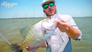 Fishing for World Record CRAPPIE on Sardis Lake CATCH CLEAN COOK  FieldTrips Mississippi [upl. by Brucie]