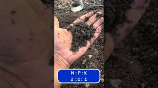 What is Vermi compost  How is vermicompost useful for plants NPK 🌱😱 [upl. by Nicky]