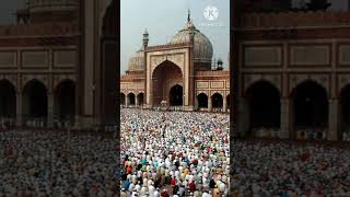 Five times namaaz  shorts viral [upl. by Eniamrej]