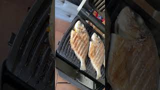 Dorade Fisch grillen lecker im Optigrill fisch grill short shorts essen küche grillen viral [upl. by Crystie764]