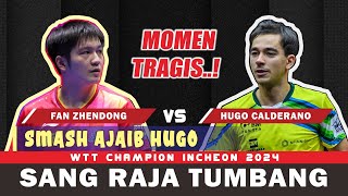 TRAGIS FAN Zhendong vs HUGO Calderano  WTT Champion Incheon 2024 [upl. by Neufer443]