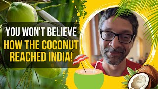 You Wont Believe How the Coconut Reached India [upl. by Veleda]