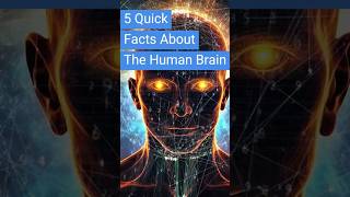 5 Quick Facts About the Human Brain  FUNKY FACTS OF LIFE shorts didyouknow brainpower [upl. by Uhp]