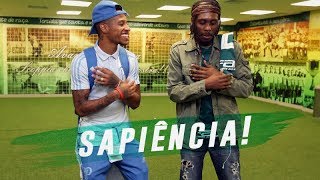 RINCON SAPIÊNCIA REAGE À VITÓRIA DO PALMEIRAS [upl. by Oznohpla]