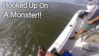 Inshore Fishing Edisto Island SC Hooked Up On Something HUGE [upl. by Asirrom730]