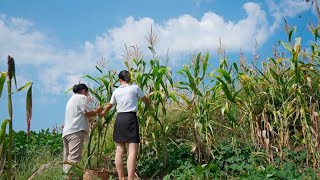 【20230818】桃子家的农村日常，干完农活一顿简单午餐，自给自足的生活好惬意【渝乡桃子】 [upl. by Anibur]