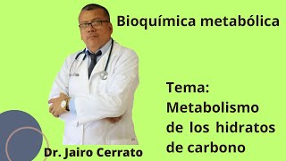 Respiración celular ruta de pentosas fosfato y metabolismo del glucógeno [upl. by Ynabe]