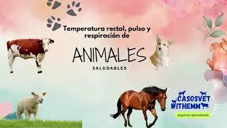 CONSTANTES FISIOLOGICAS EN ANIMALES SALUDABLES [upl. by Aivatahs897]