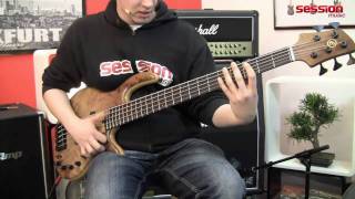 ELRICK BASS GUITARS Gold Series EVolution 5String Bolton Swamp Ash [upl. by Isidor]