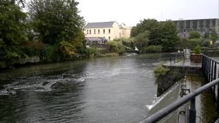 Bruach na Coiribe Galway Ireland [upl. by Ahseka]