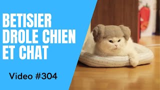 🐶 Dose dhumour 😻 Vidéo Betisier Drôle de Chat et Chien 304 [upl. by Hahsi990]