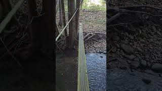 Twisted rickety rope bridge creek crossing creek outdoors adventure [upl. by Ahsyas]