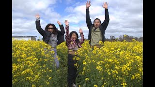 Canola Field Visit at PetTeet Park York Perth WA on Fathers Day Sep 2024 [upl. by Yespmed]