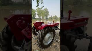 Massey Ferguson 135  1970 Vintage Tractor [upl. by Merissa]