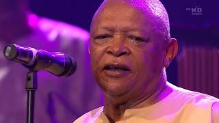 Hugh Masekela The Late Living Jazz Legend Performs Stimela [upl. by Aggi]