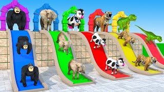 5 Giant Duck Cartoon Cow Giraffe Elephant Lion Paint Wild Animals Crossing Fountain Animation 2 [upl. by Hanonew]