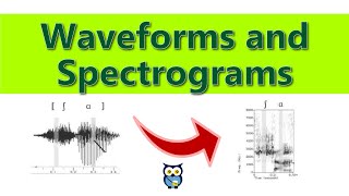 Waveforms and Spectrograms [upl. by Kellen401]