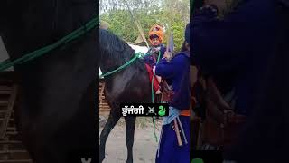 Bhujangi🐍budhadal nihang singh khalsa kids horse love nature culture cute trending short [upl. by Bittner]