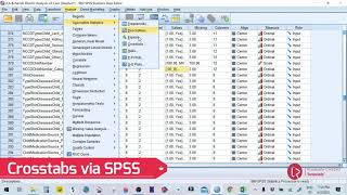 Crosstabs using SPSS [upl. by Chilson143]