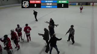 Tournoi NHL Kids Décembre 2022 Match préparatoire Little Blackhawks vs Little Red Wings [upl. by Duky]