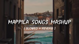 Mappila Songs Mashup Slowed Version  Malayalam Lofi [upl. by Walton52]