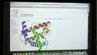 6 BB 350 Protein 3D Structure II  Kevin Aherns Biochemistry Online [upl. by Maida]