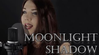 Mike Oldfield  Moonlight Shadow Alina LesnikampMarco Philipp Cover [upl. by Anauq]