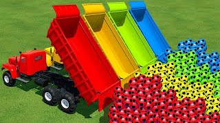 Marble Run ASMR Race ☆ HABA Slope amp Dump Truck Excavator Ambulance Forklift Garbage Truck Tractors [upl. by Romy442]