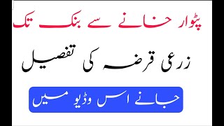 Zari Loan ki Tafseel  Details of agri loan زرعی قرضہ کی مکمل تفصیل [upl. by Yrral]