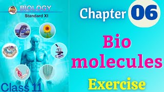 Biomolecules class 11 biology chapter 6 exercise solutions [upl. by Anoirtac]