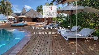 Guest Testimonial at Veligandu Island Resort amp Spa Maldives [upl. by Un]