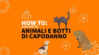 How To  Botti di Capodanno e Animal [upl. by Emyle]