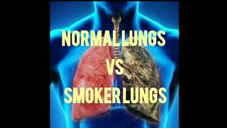 Normal Lungs vs Smoker Lungsviralvideo healthtipshealthcare [upl. by Epner]