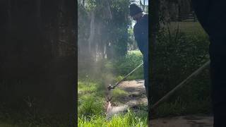 OVERGROWN driveway TRANSFORMATION with WEED EATER asmr lawntransformation shorts [upl. by Melosa519]