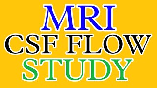 CSF FLOW QUANTIFICATION [upl. by Giltzow]