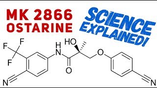 Ostarine Science Explained  Science Behind Ostarine  MK2866  SARMs  Enobosarm [upl. by Arlie726]