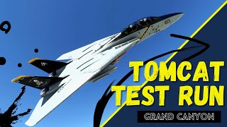 Tomcat test run  MSFS [upl. by Skiba]