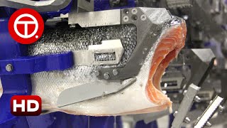 How Salmon Fillet Are Made in Factory  How Its Made ▶01 [upl. by Melgar]