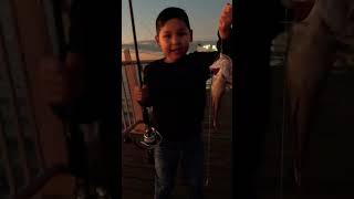 Australia fishing vlog  fishingvideo youtubeshorts fishingaustralia shorts fishingshorts [upl. by Eanahc]