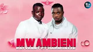 Rayvanny ft Harmonize Mwambieni official video lyrics [upl. by Eniamurt]